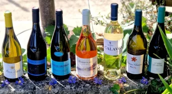 Sélection vins d'automne 2026 7 cuvées qui prolongent l'ambiance estivale