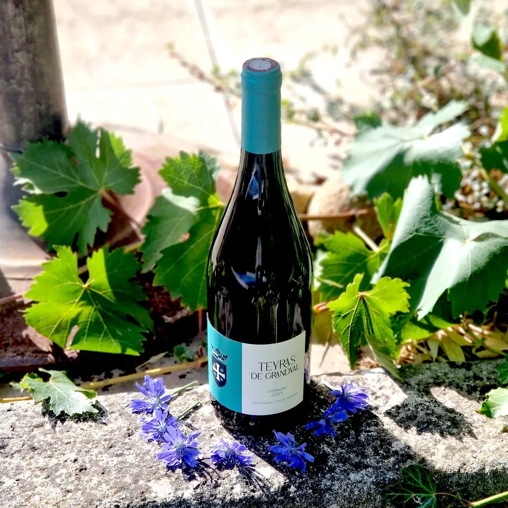 Teyras de Grandval Chinon 2023