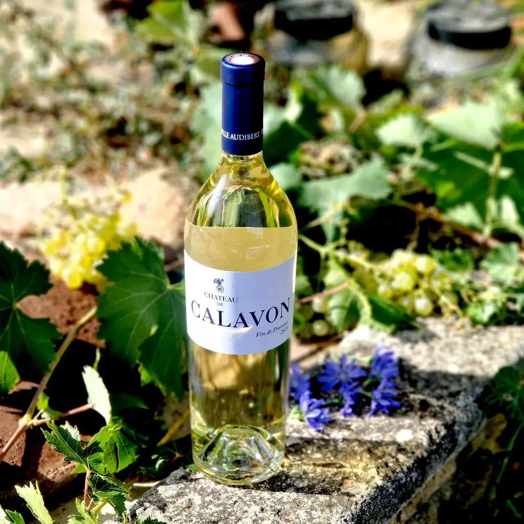 Château de Calavon blanc 2024 - AOP Coteaux d’Aix en Provence - Certifié AB